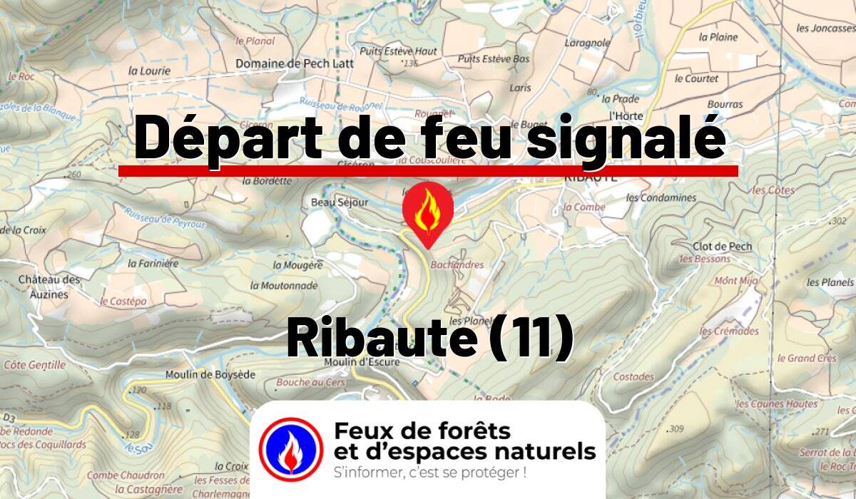 Ribaute (11)