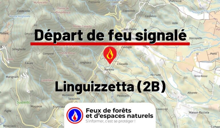 Linguizzetta (2B)
