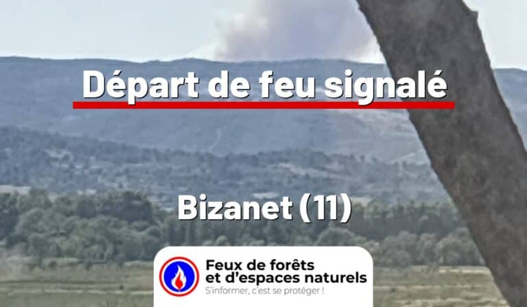 Bizanet (11)