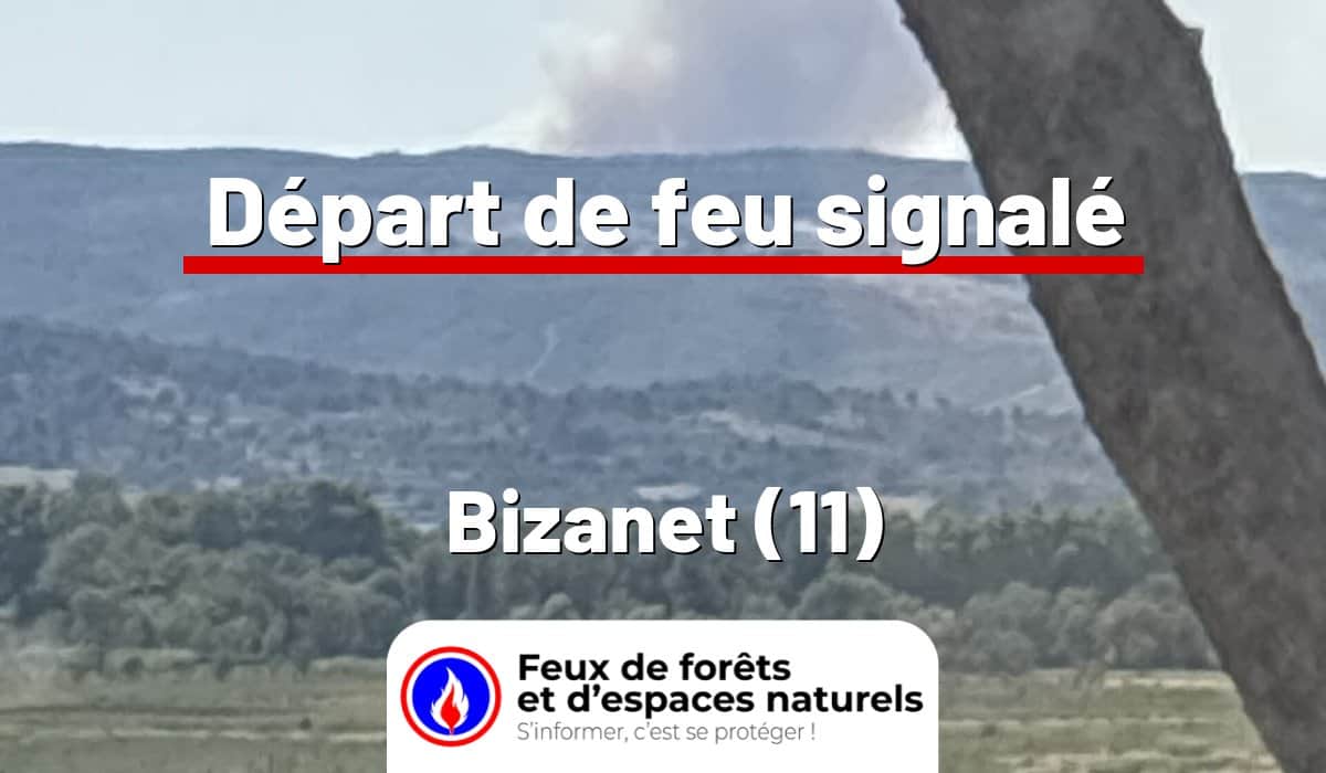 Bizanet (11)