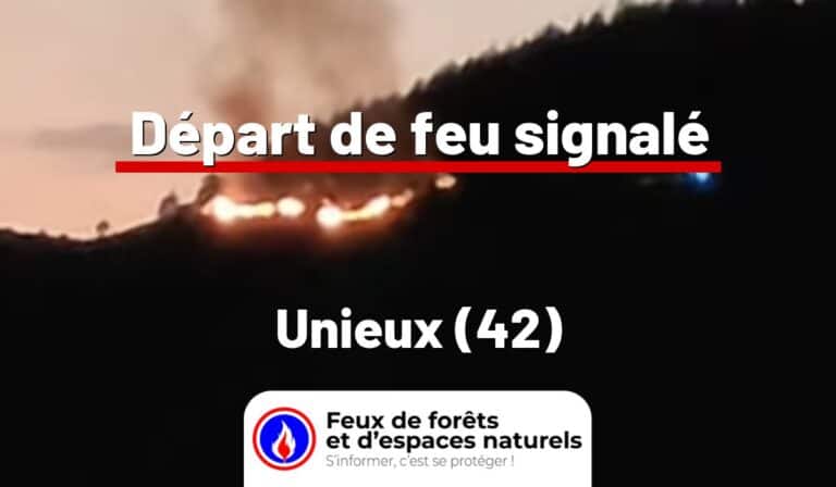 Unieux (42)