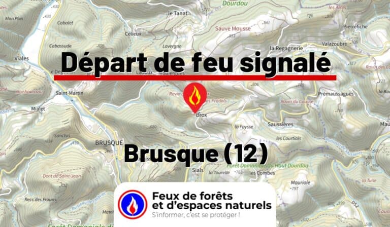 Brusque (12)
