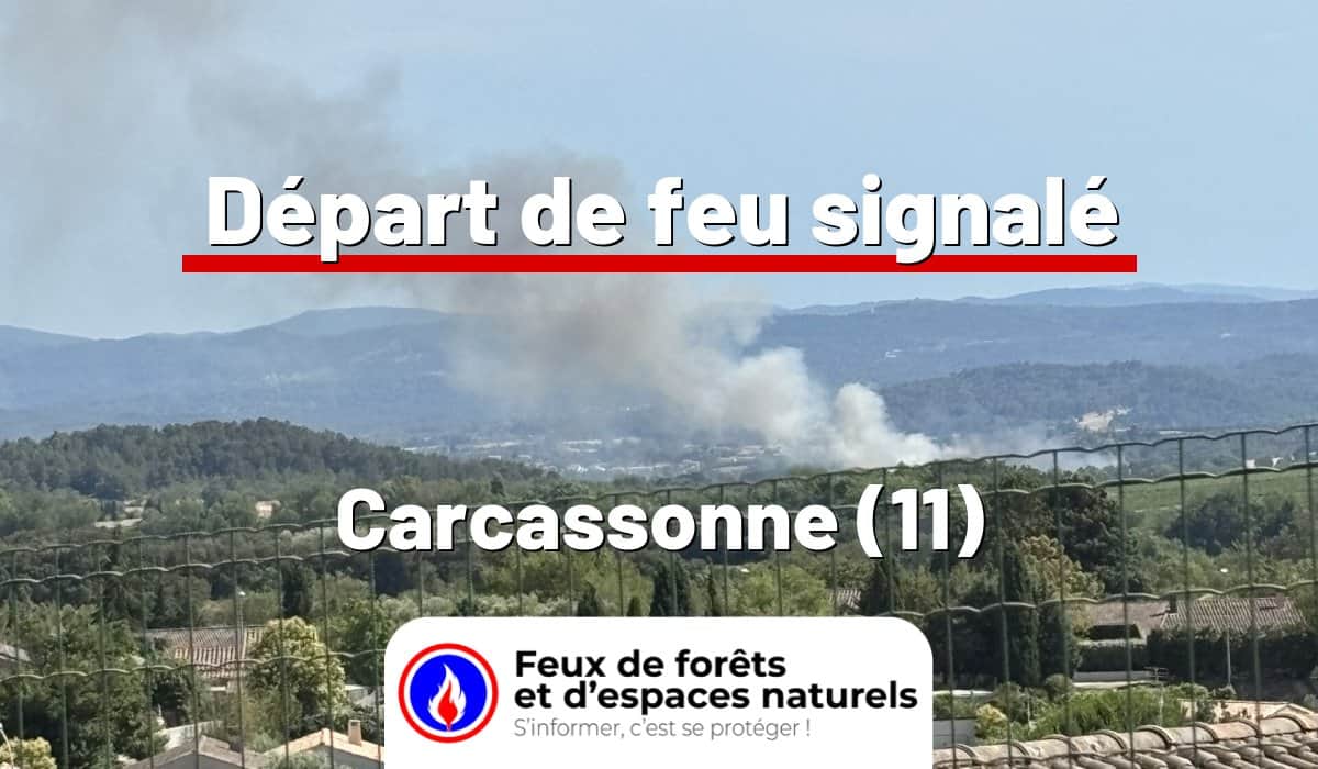 Carcassonne (11)