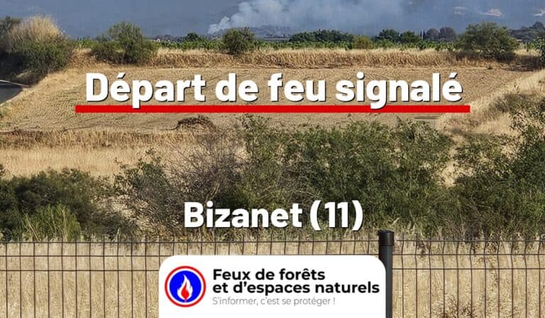 Bizanet (11)