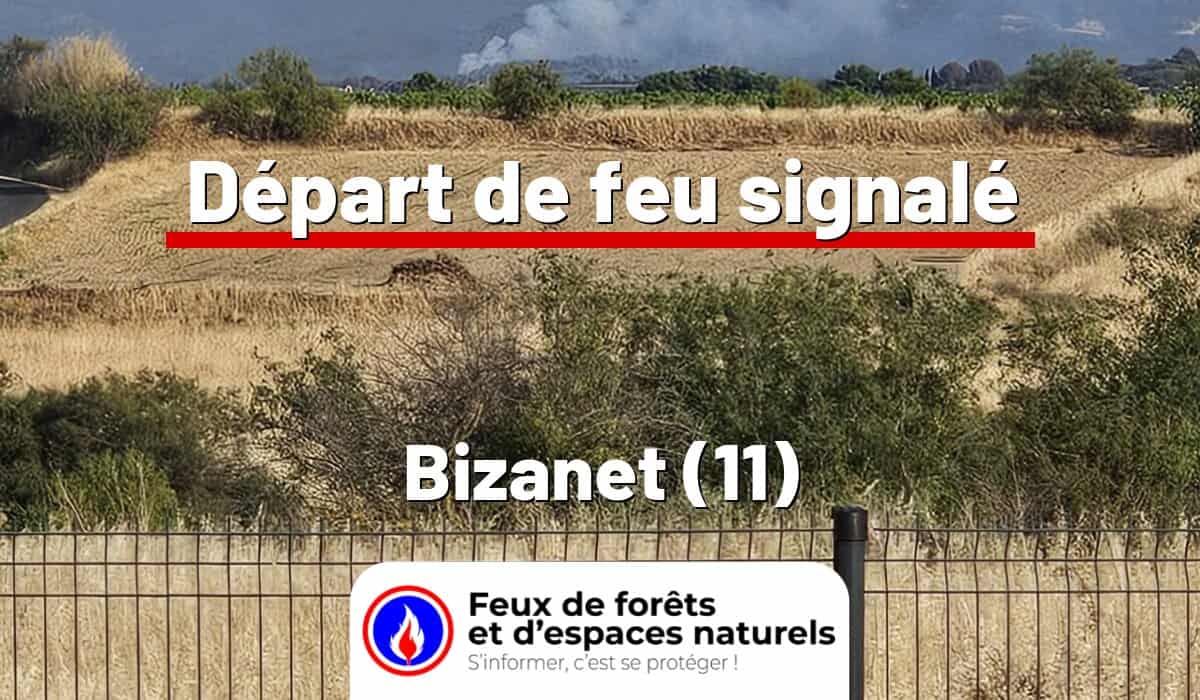 Bizanet (11)