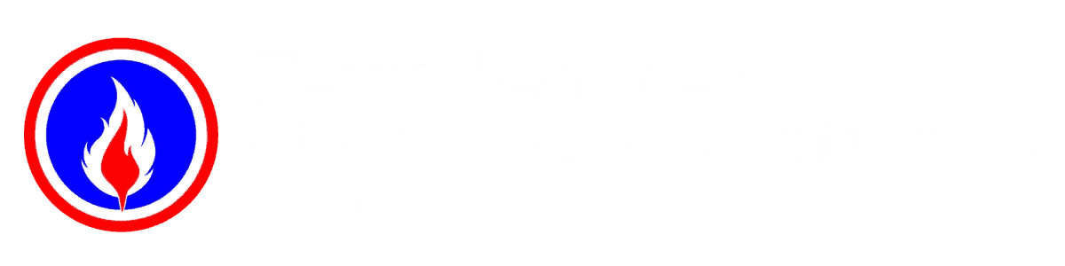 Feux de forêt