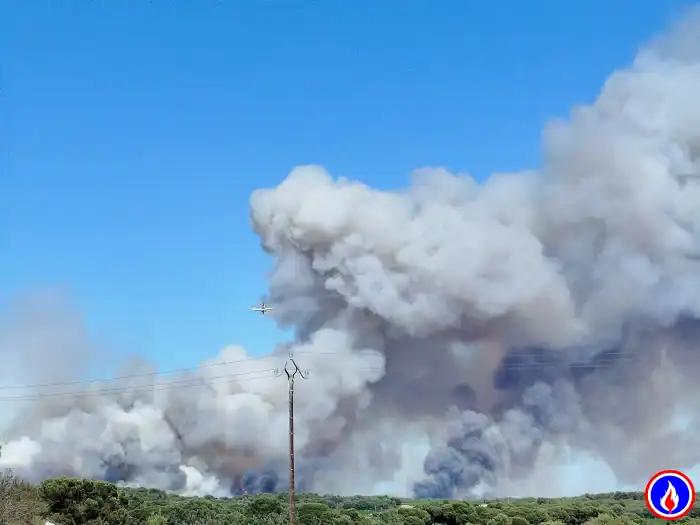 Incendie à Castelnau-de-Guers : 700 hectares parcourus, des vignobles touchés, 220 caravanes sauvées