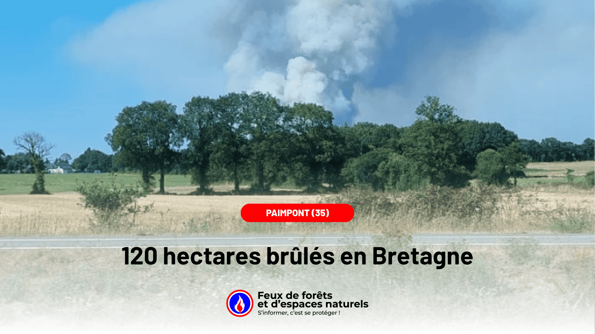 Bretagne : 120 hectares ravagés en forêt de Brocéliande