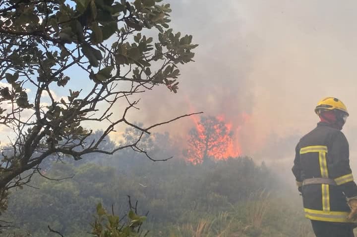 Narbonne : 2 000 hectares déjà ravagés, l&rsquo;incendie reste actif