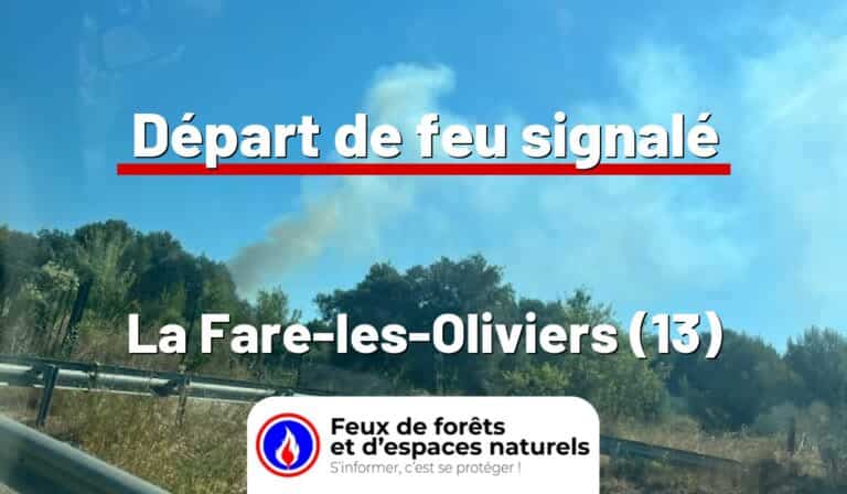 La Fare-les-Oliviers (13)