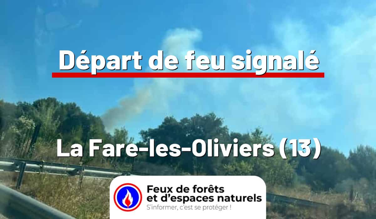 La Fare-les-Oliviers (13)