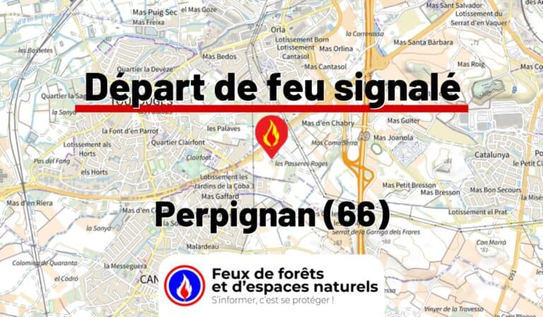 Perpignan (66)