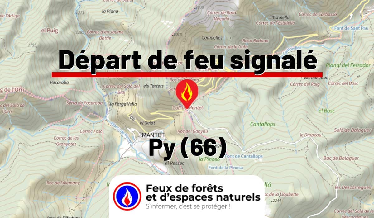Py (66)