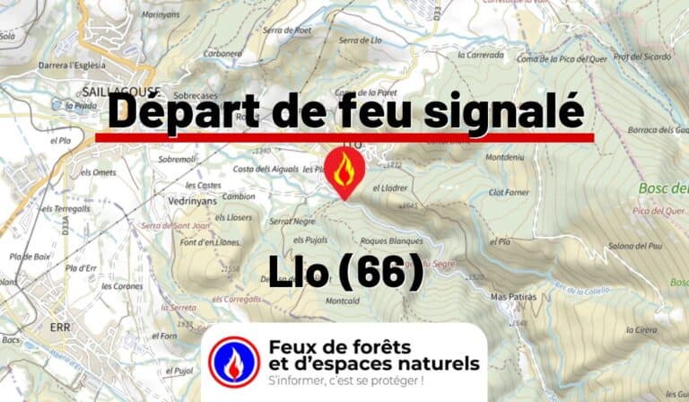 Llo (66)