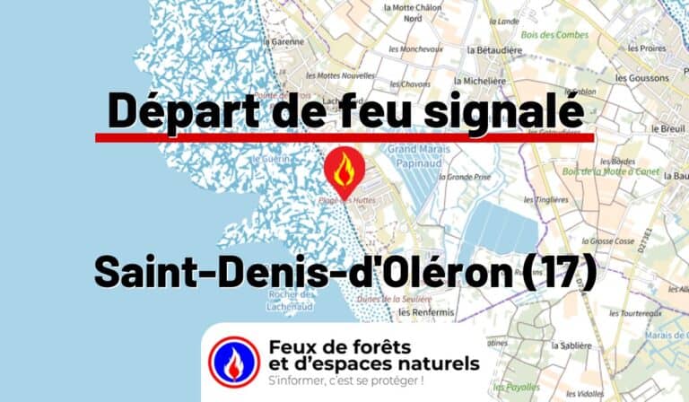 Saint-Denis-d&rsquo;Oléron (17)