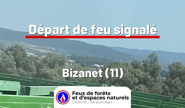 Bizanet (11)