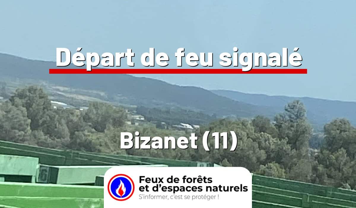 Bizanet (11)