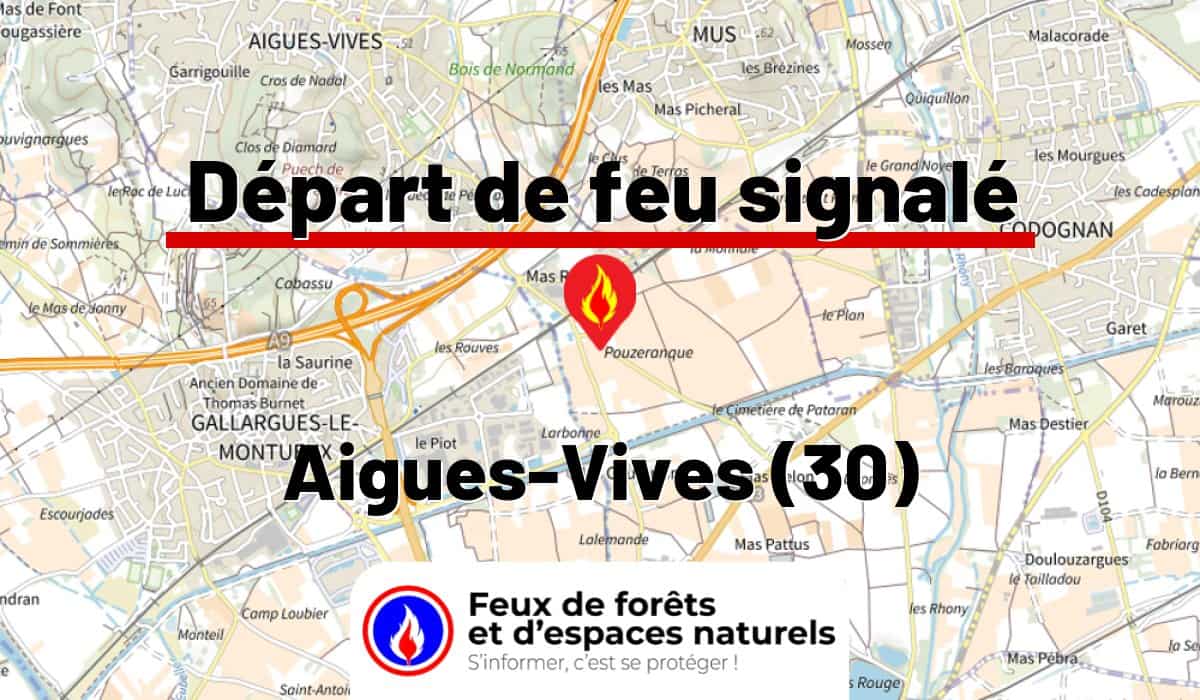 Aigues-Vives (30)