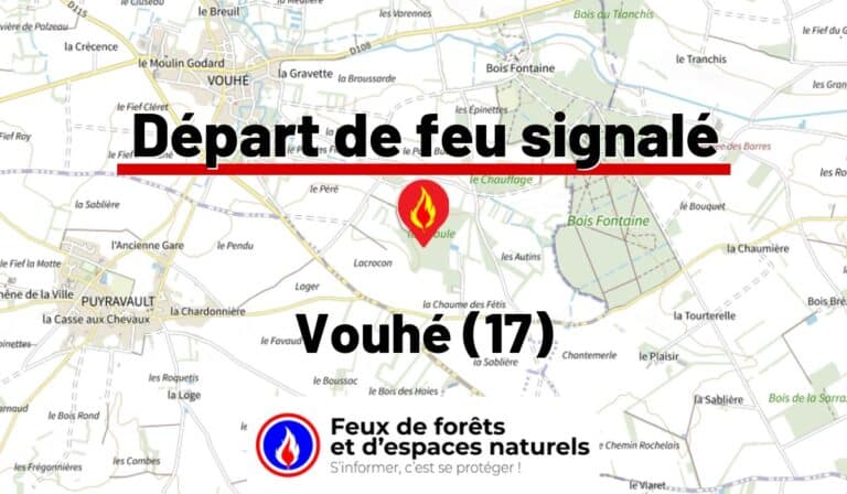 Vouhé (17)