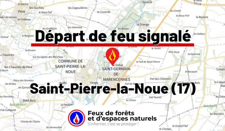 Saint-Pierre-la-Noue (17)