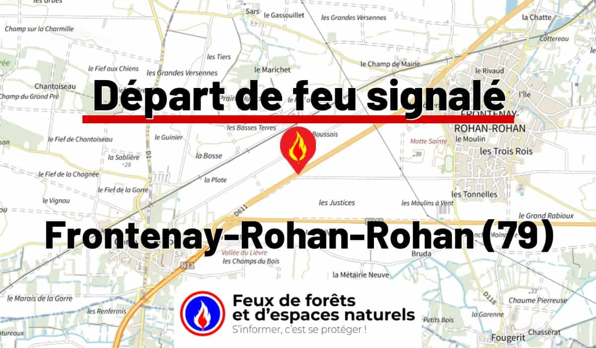 Frontenay-Rohan-Rohan (79)