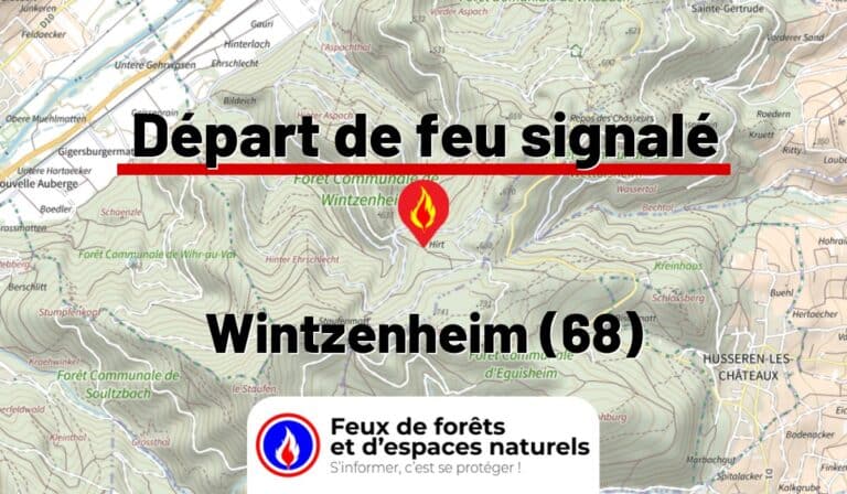 Wintzenheim (68)