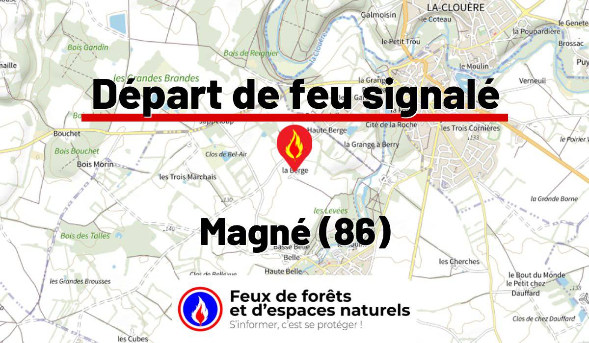 Magné (86)