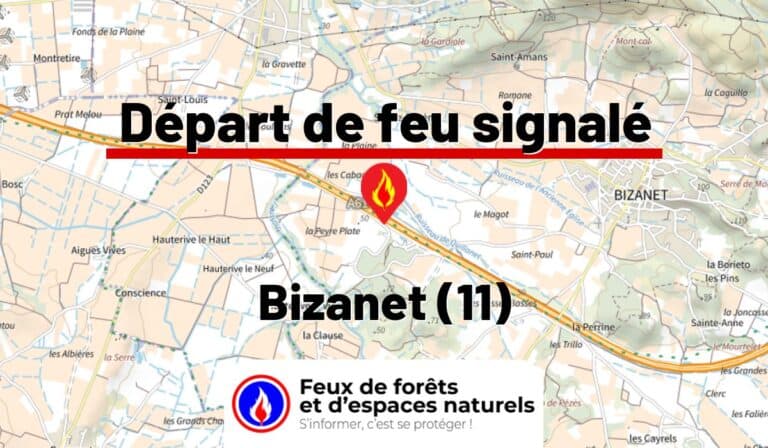 Bizanet (11)