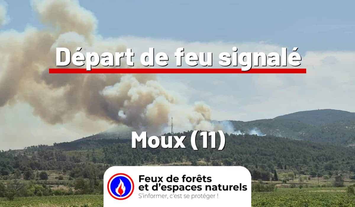 Moux (11)
