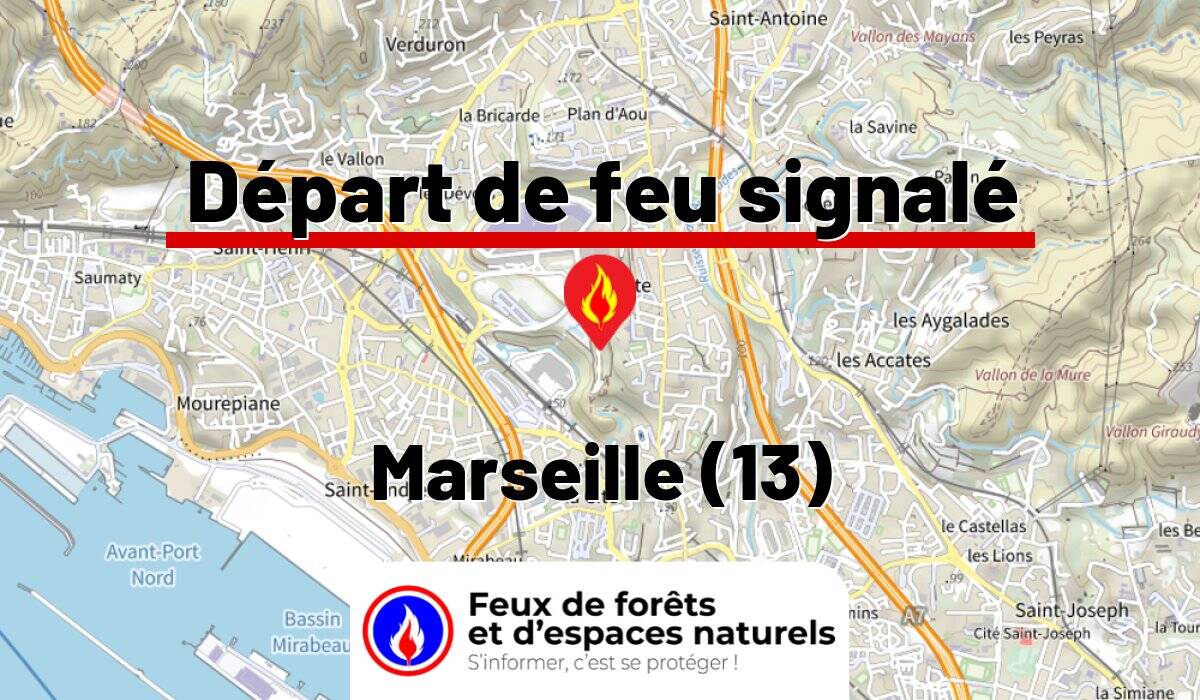 Marseille (13)