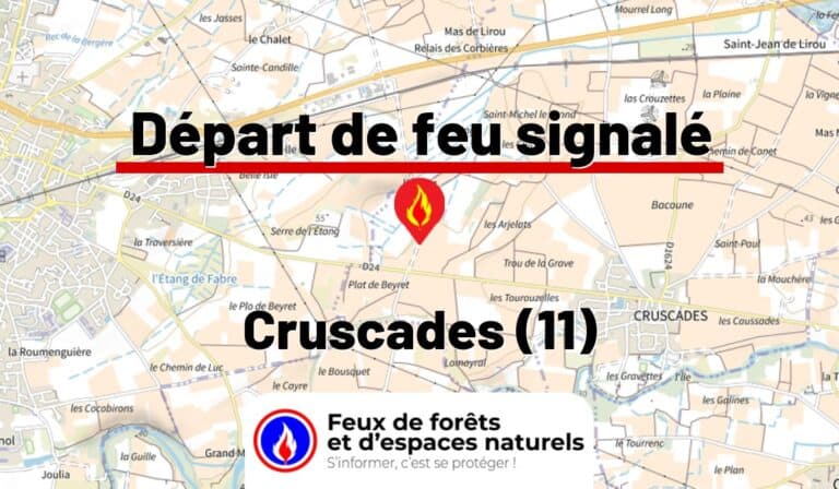 Cruscades (11)