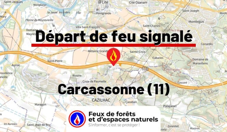Carcassonne (11)