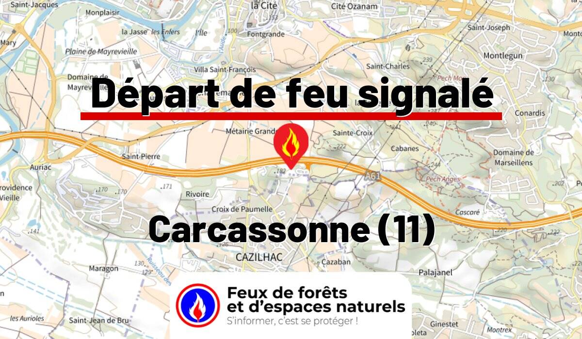 Carcassonne (11)