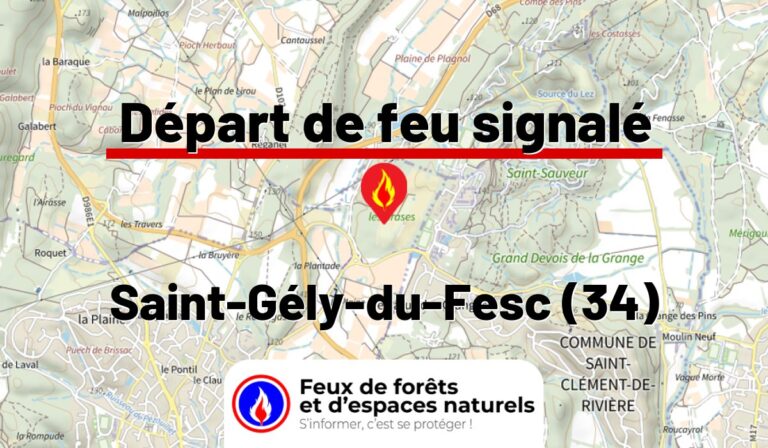 Saint-Gély-du-Fesc (34)