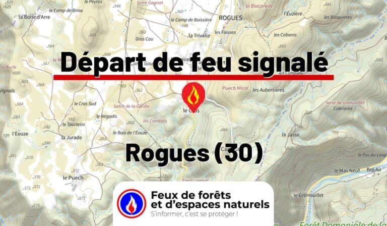 Rogues (30)