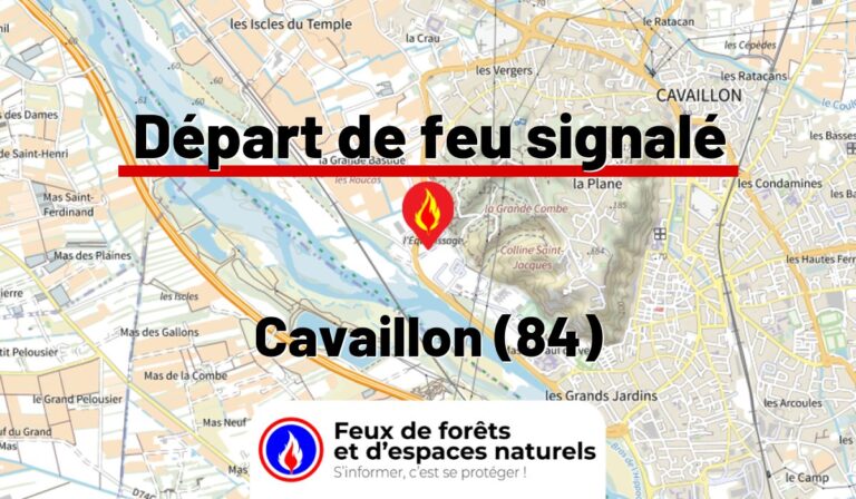 Cavaillon (84)
