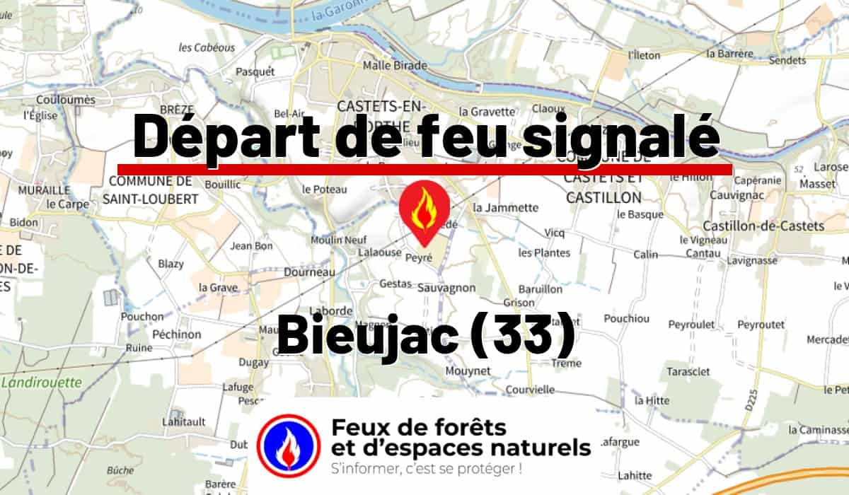 Bieujac (33)