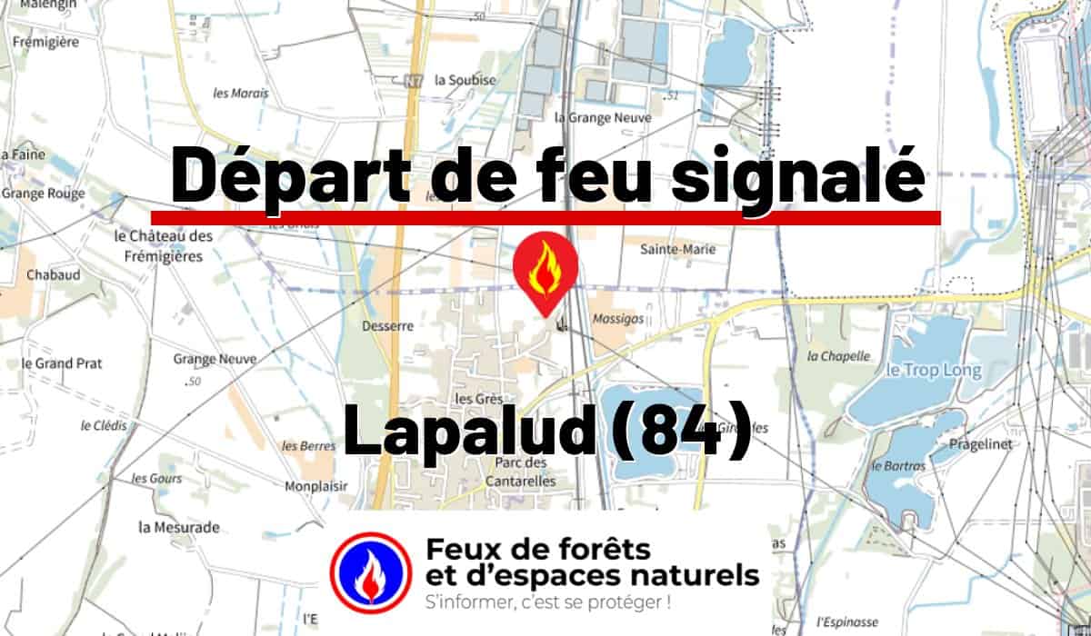 Lapalud (84)