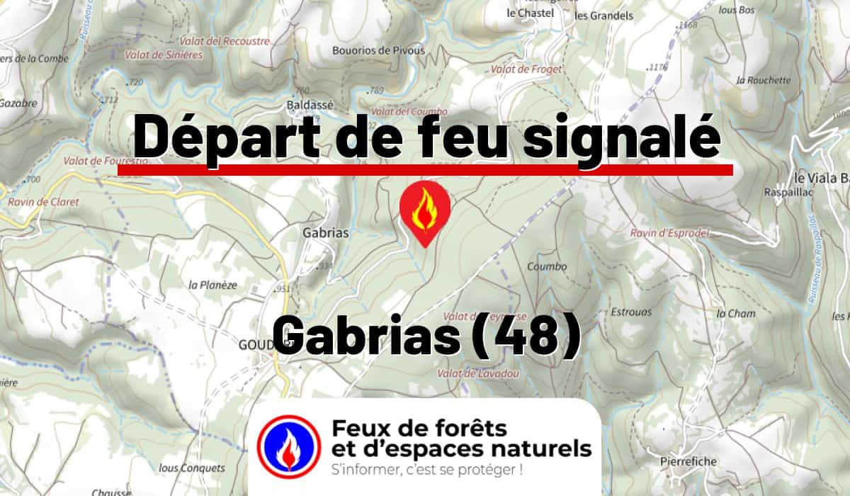 Gabrias (48)