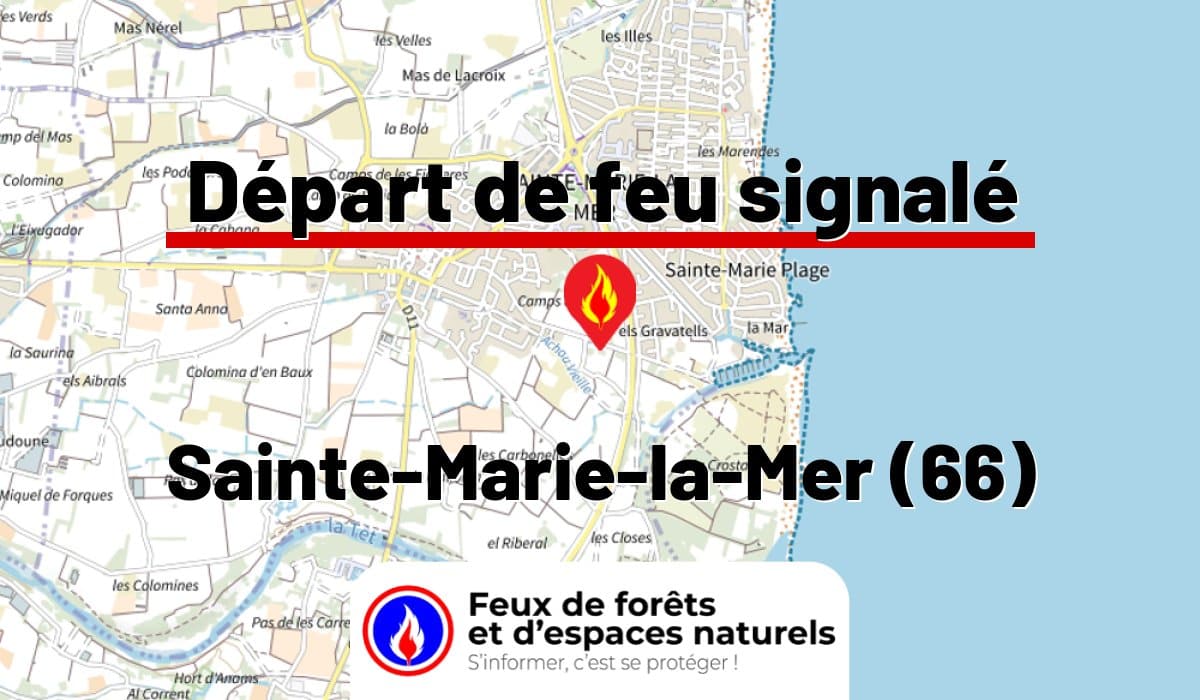 Sainte-Marie-la-Mer (66)
