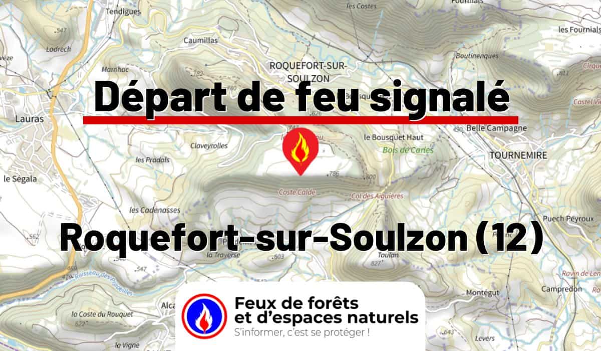 Roquefort-sur-Soulzon (12)