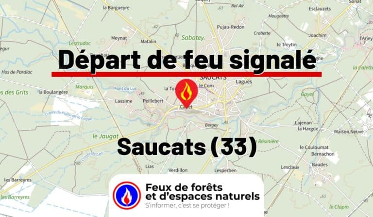 Saucats (33)