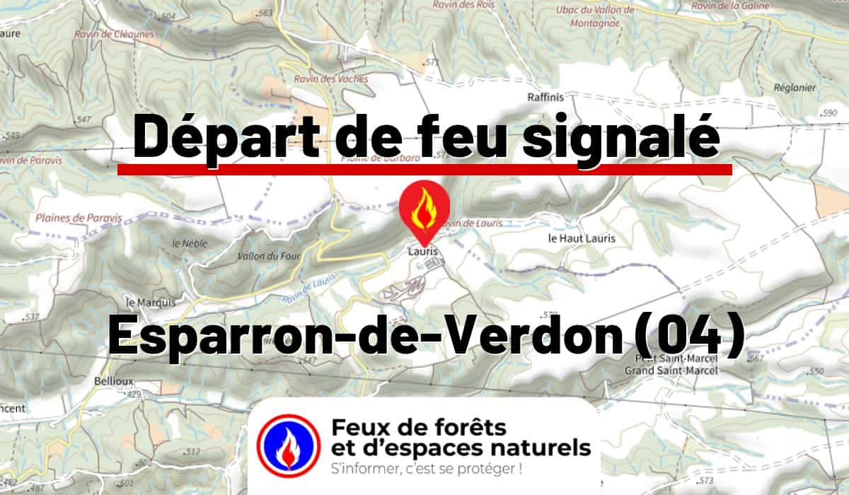 Esparron-de-Verdon (04)
