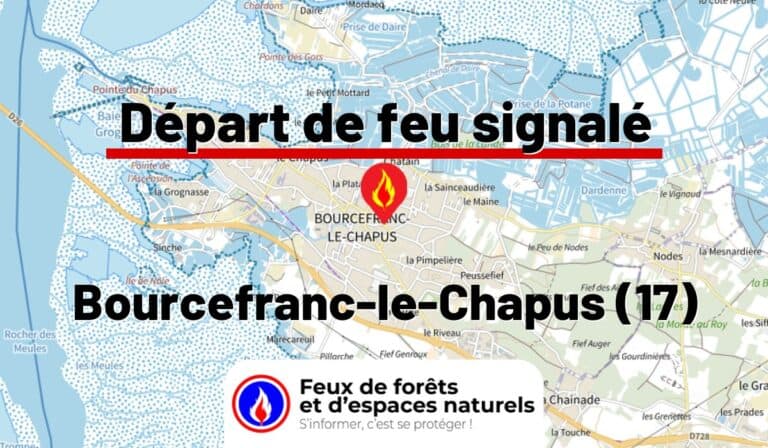 Bourcefranc-le-Chapus (17)
