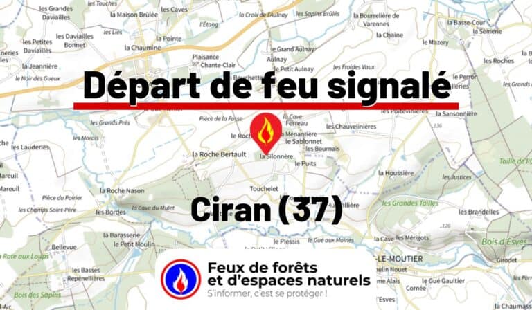 Ciran (37)