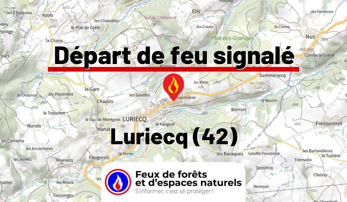 Luriecq (42)
