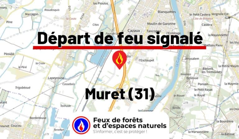 Muret (31)