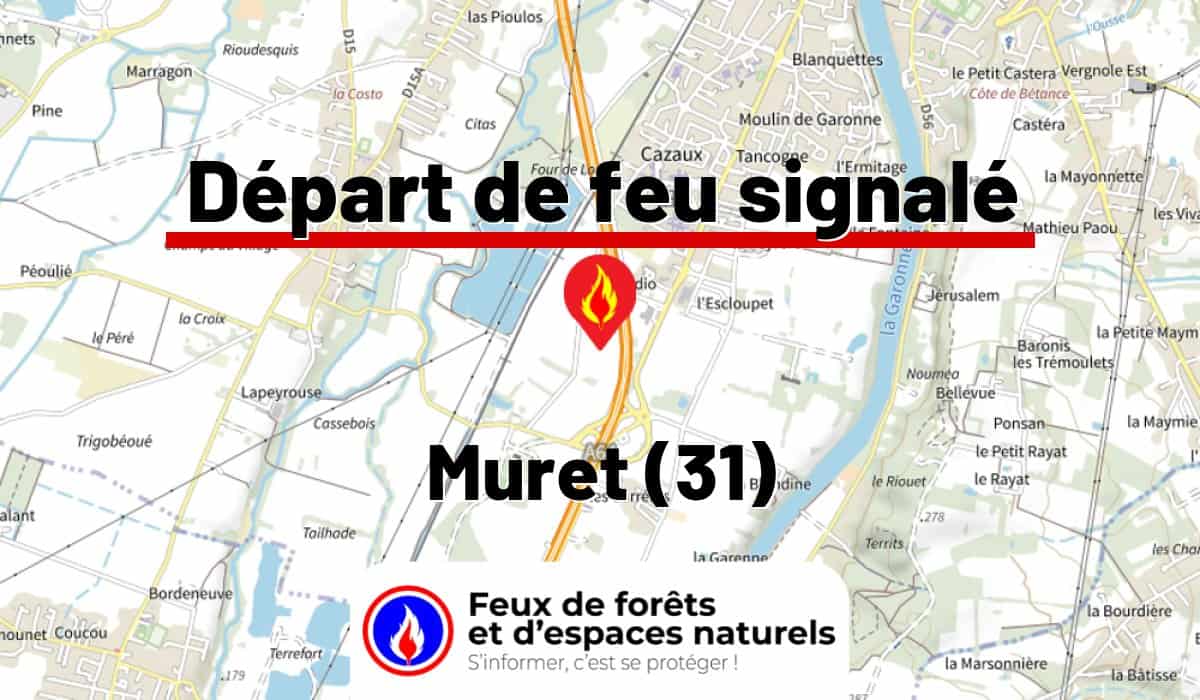 Muret (31)