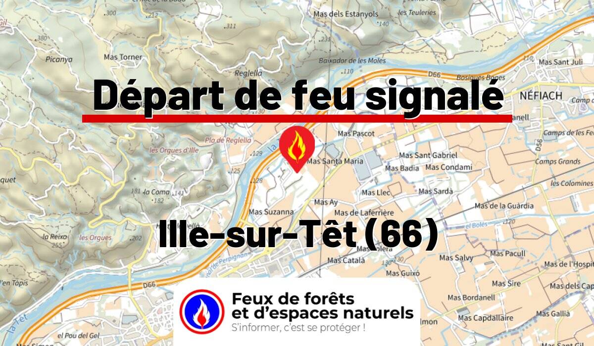 Ille-sur-Têt (66)