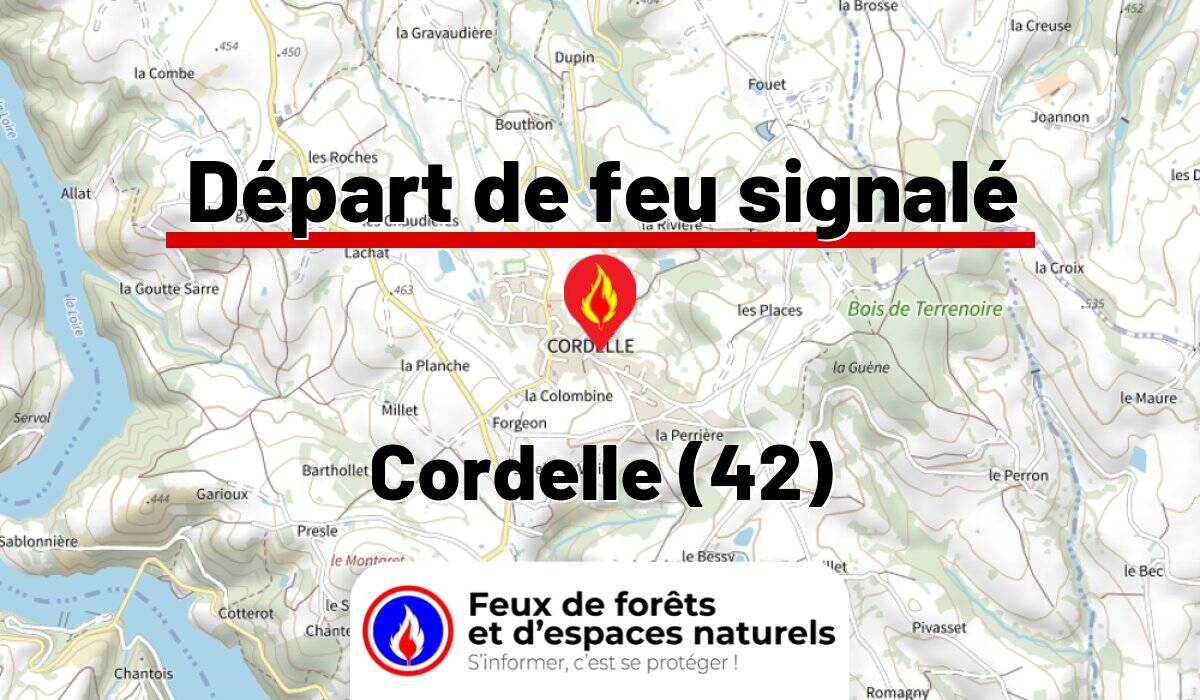 Cordelle (42)